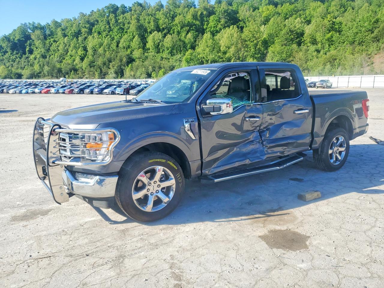 Salvage Ford F-150 Image