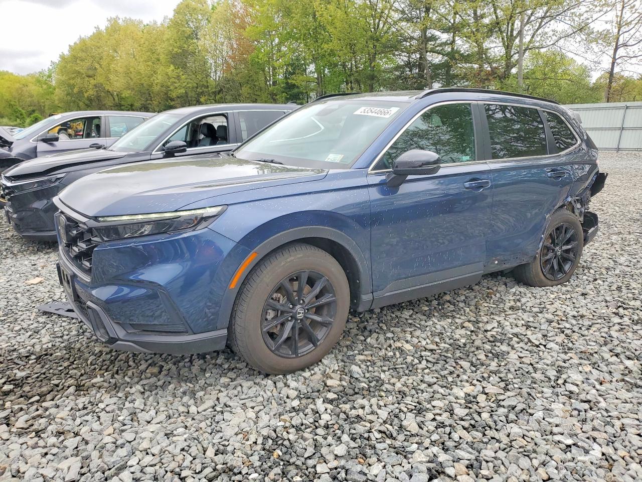 Salvage Honda Crv Image