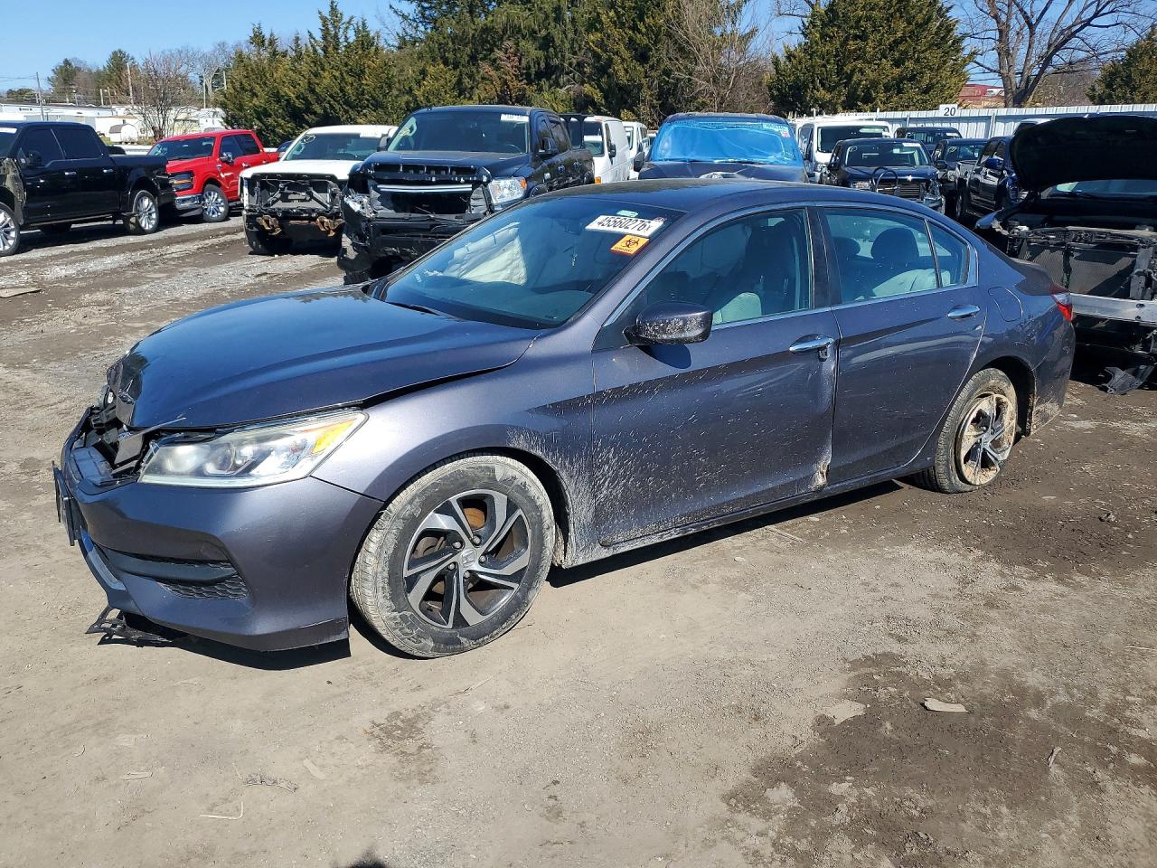 Salvage Honda Accord Image