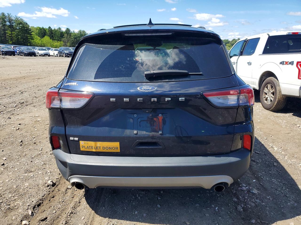 Ford Escape Se