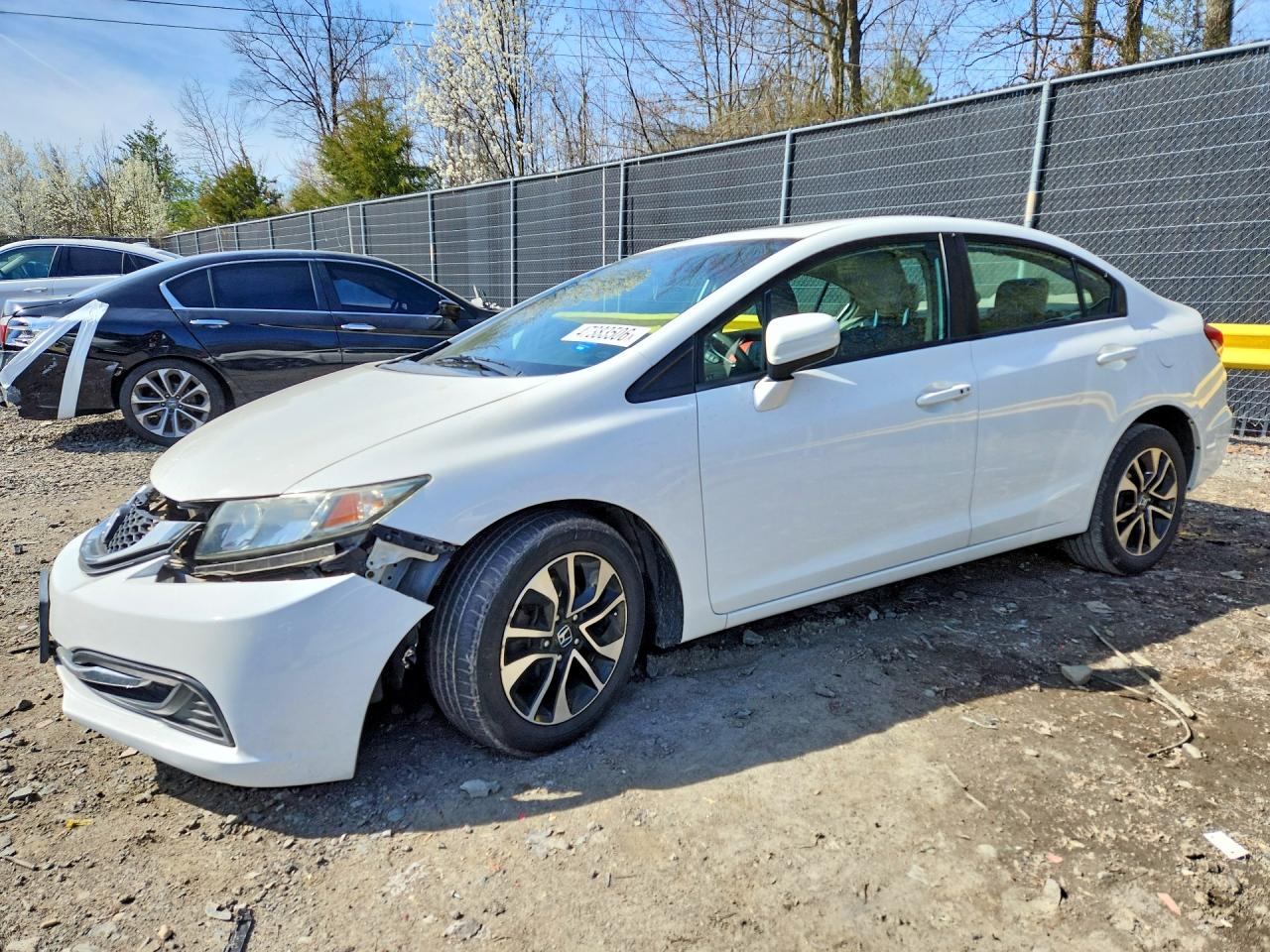 Salvage Honda Civic Image