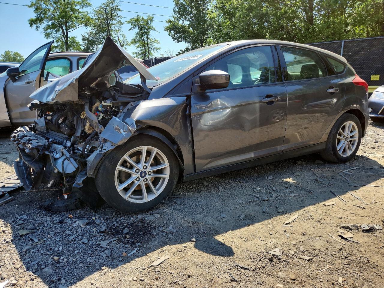 Salvage Ford Focus Image