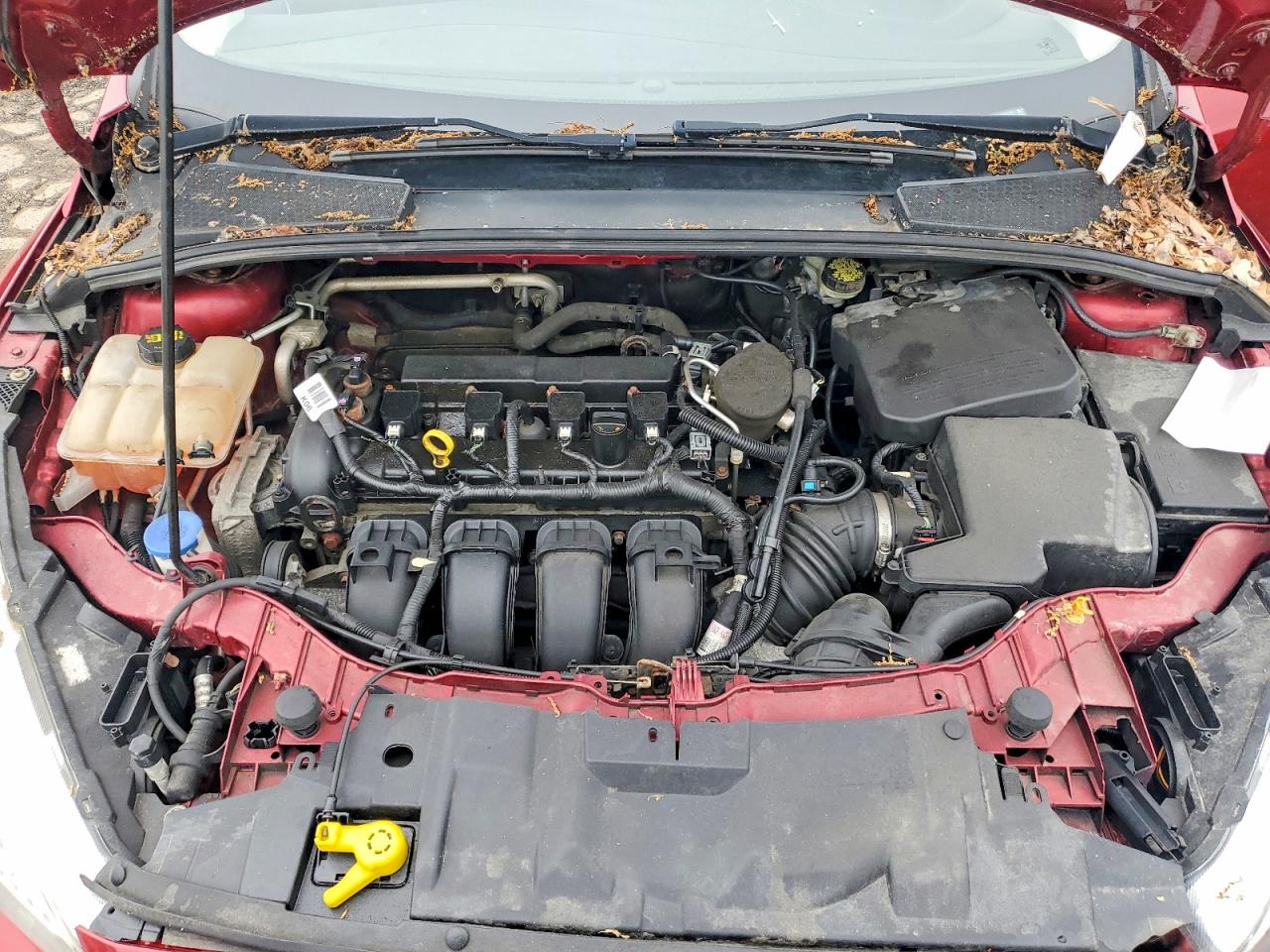 Ford Focus Se