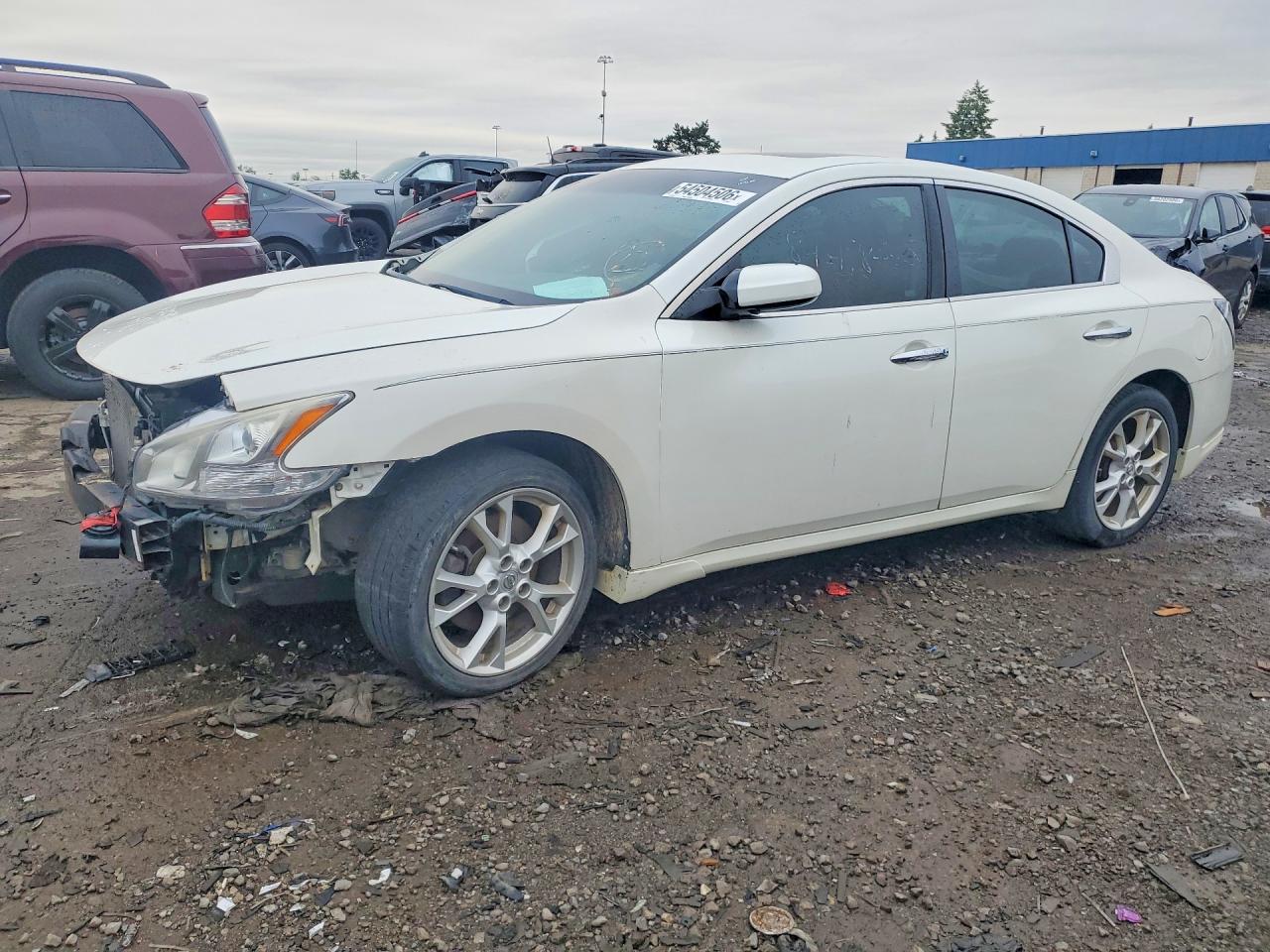 Salvage Nissan Maxima Image
