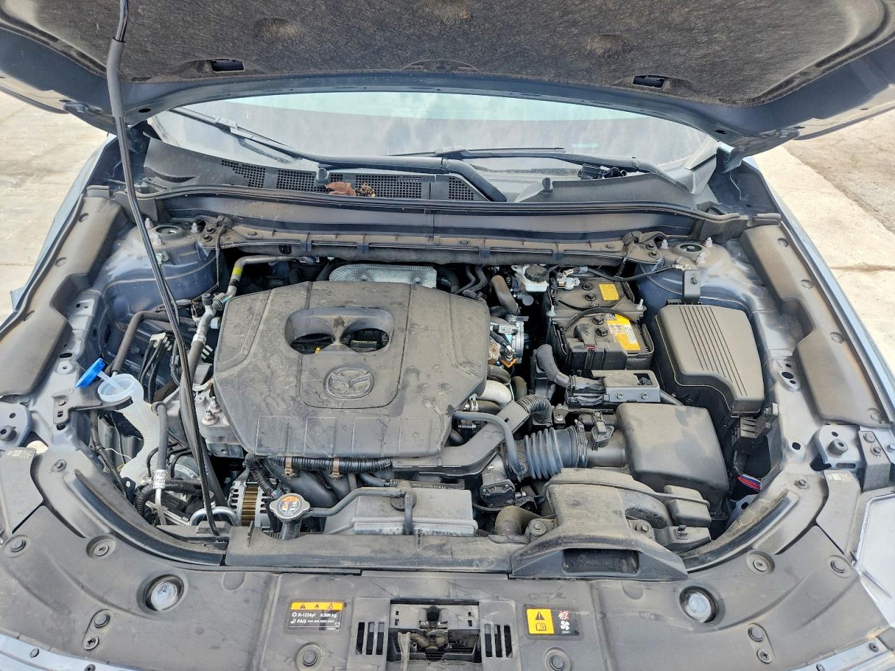 Mazda Cx Preferred
