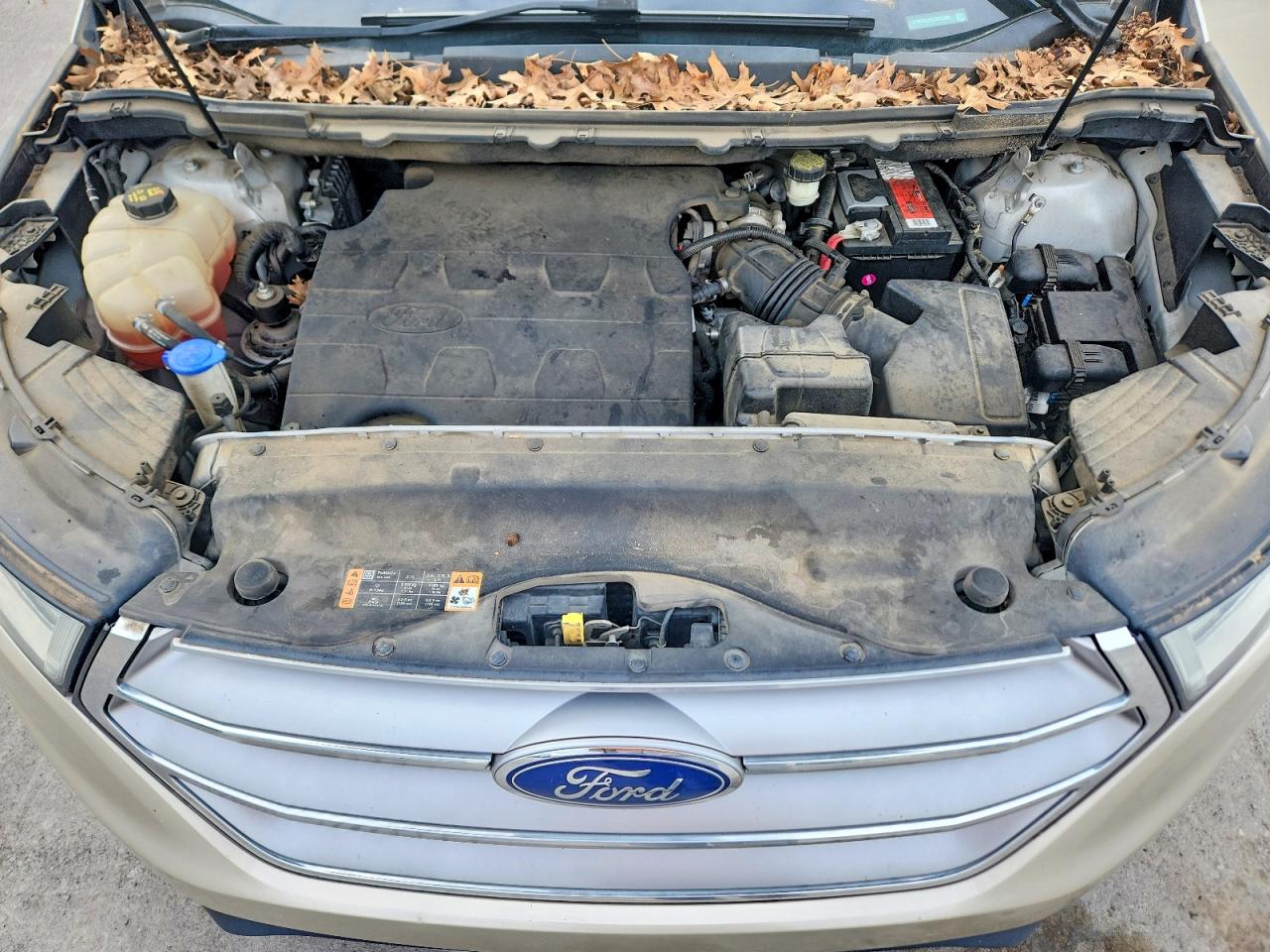 Ford Edge Sel
