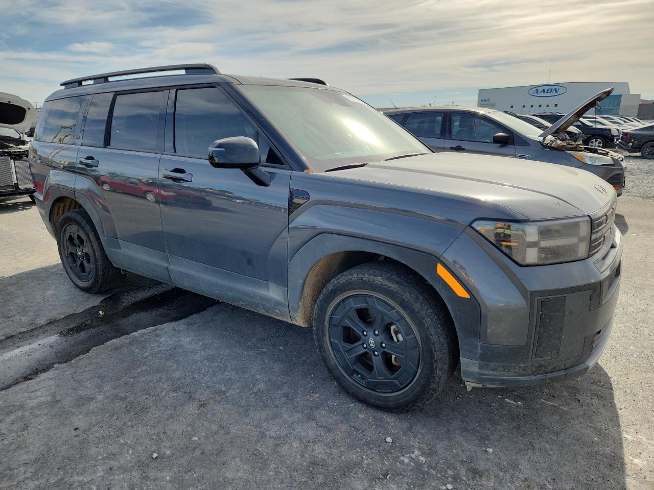 Hyundai SANTA FE Xrt
