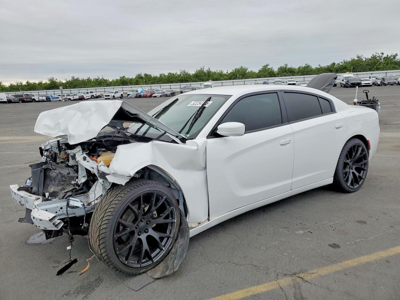 Salvage Dodge Charger Image