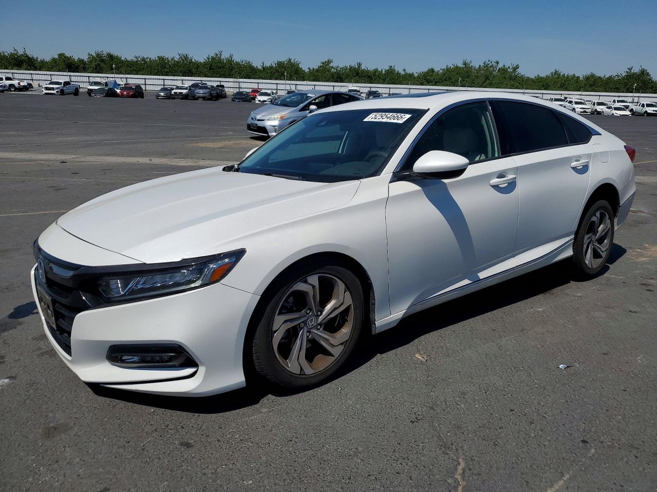 Salvage Honda Accord Image