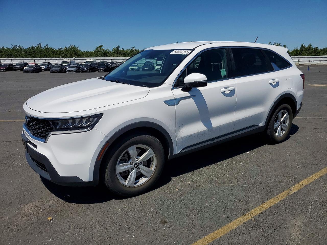 Salvage Kia Sorento Image