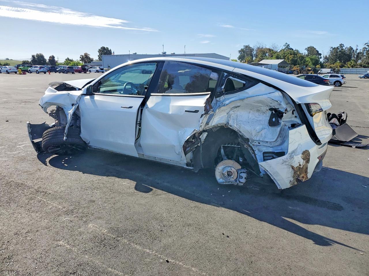 Tesl Model Y