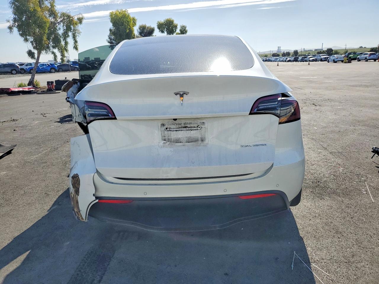 Tesl Model Y