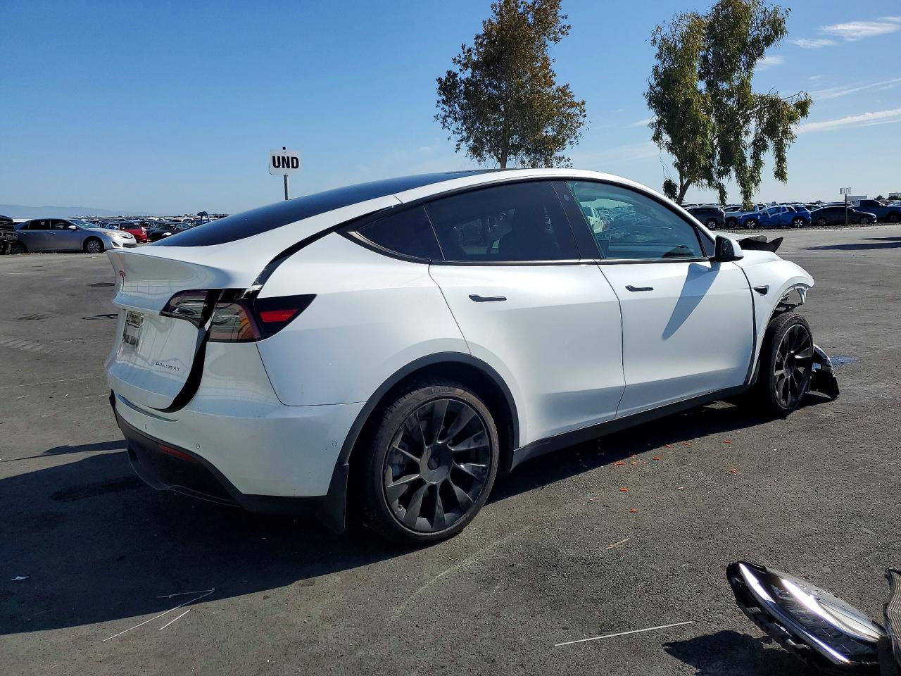 Tesl Model Y