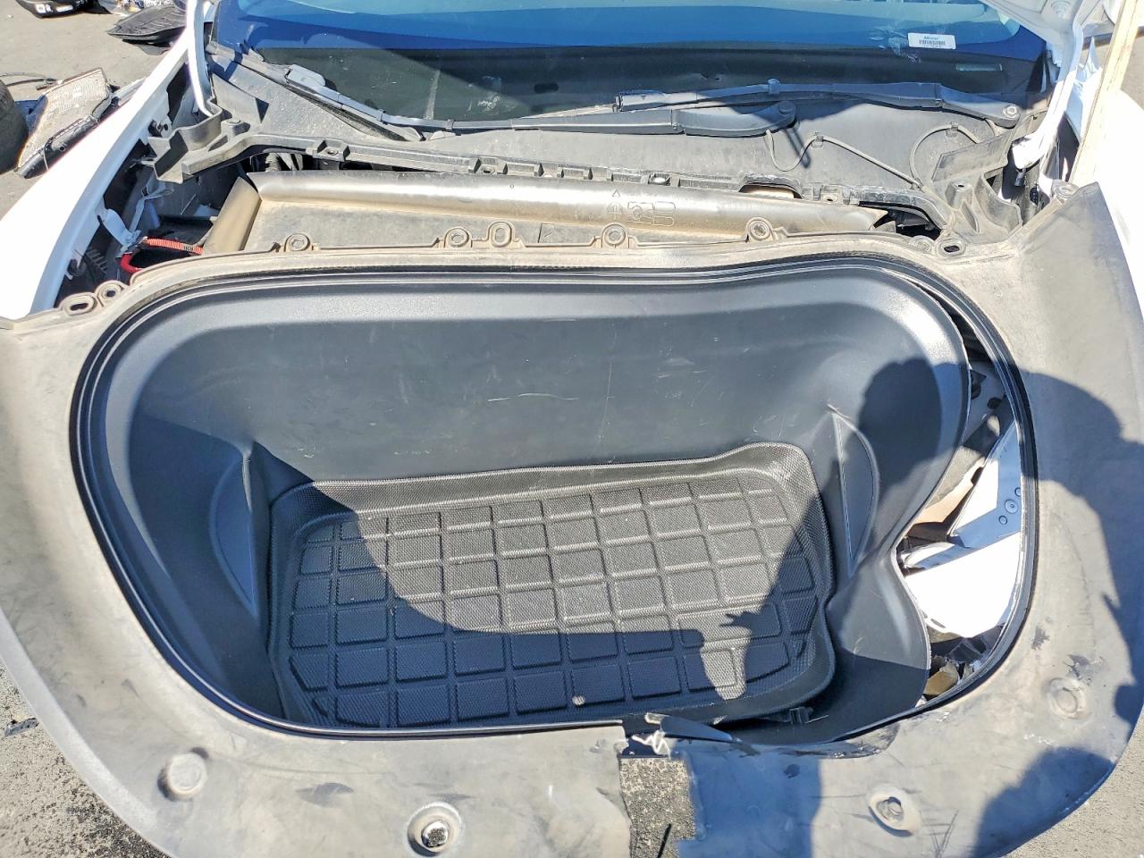 Tesl Model Y