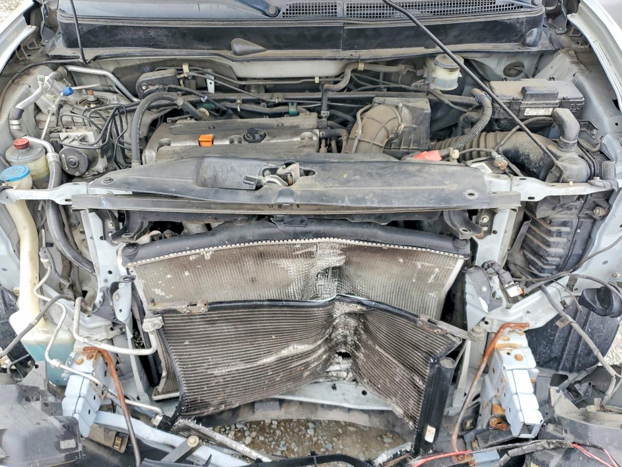 Honda Element Ex