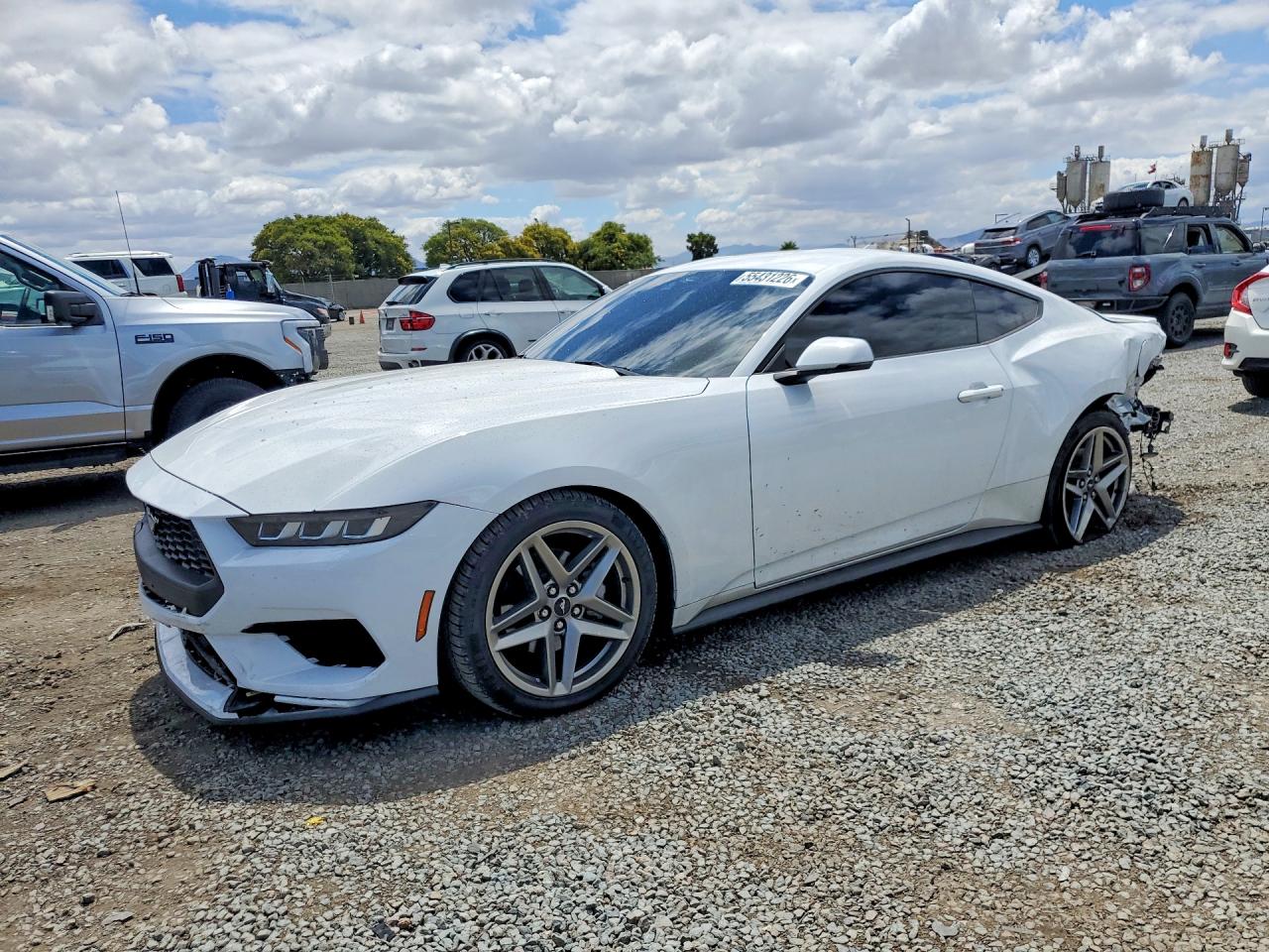 Salvage Ford Mustang Image