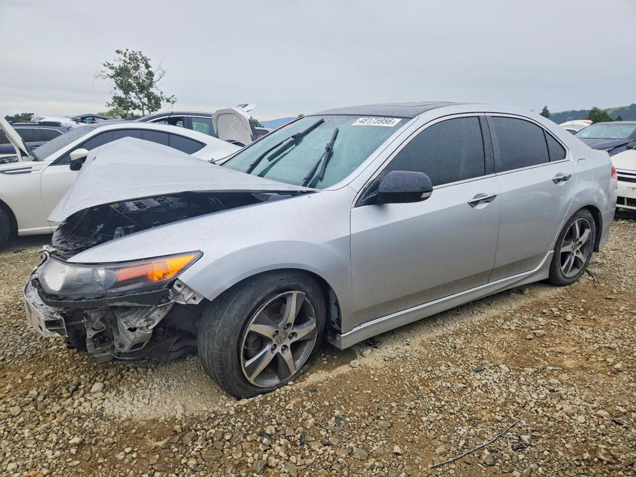 Salvage Acura TSX Image