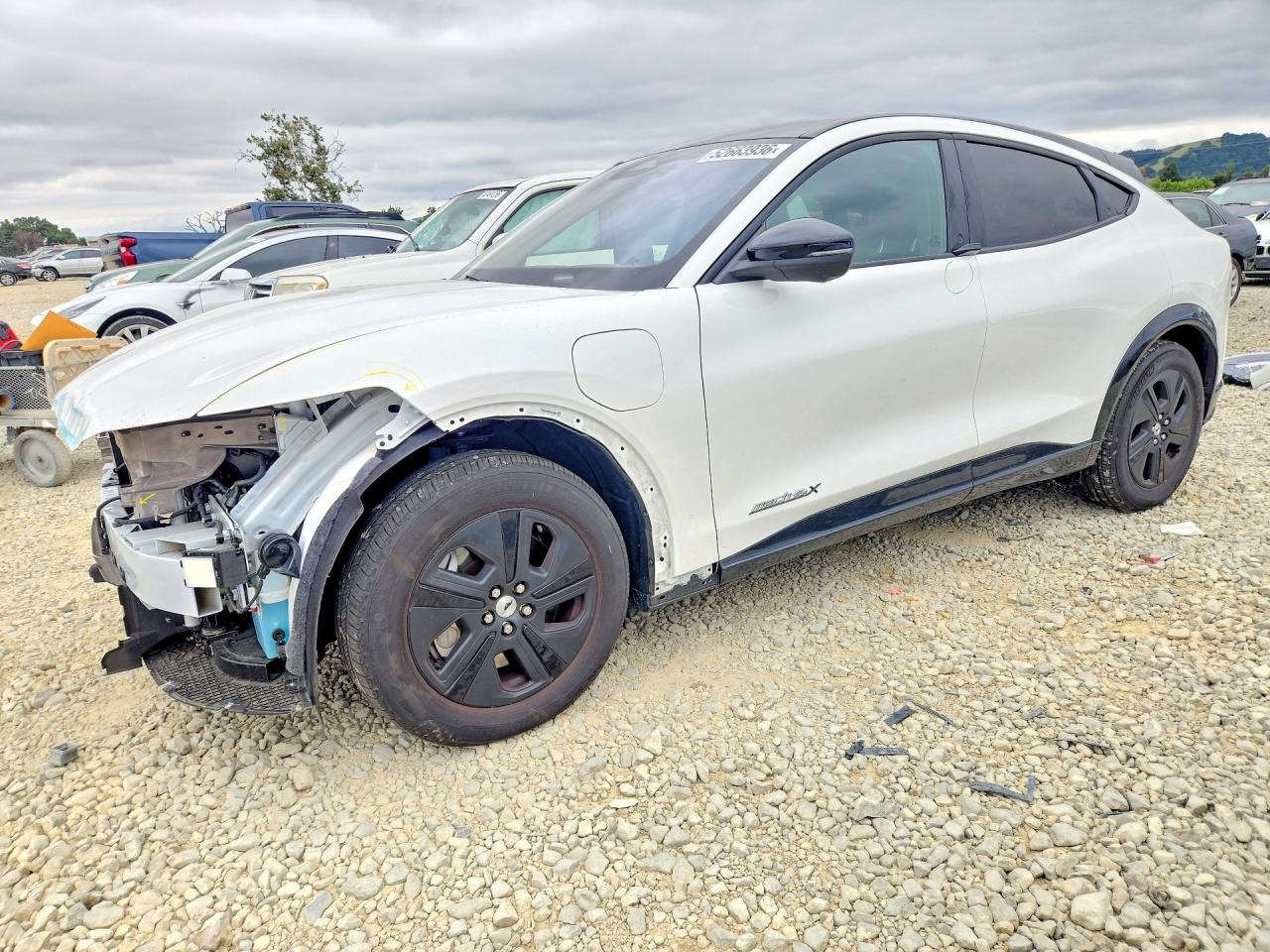 Salvage Ford Mustang Image
