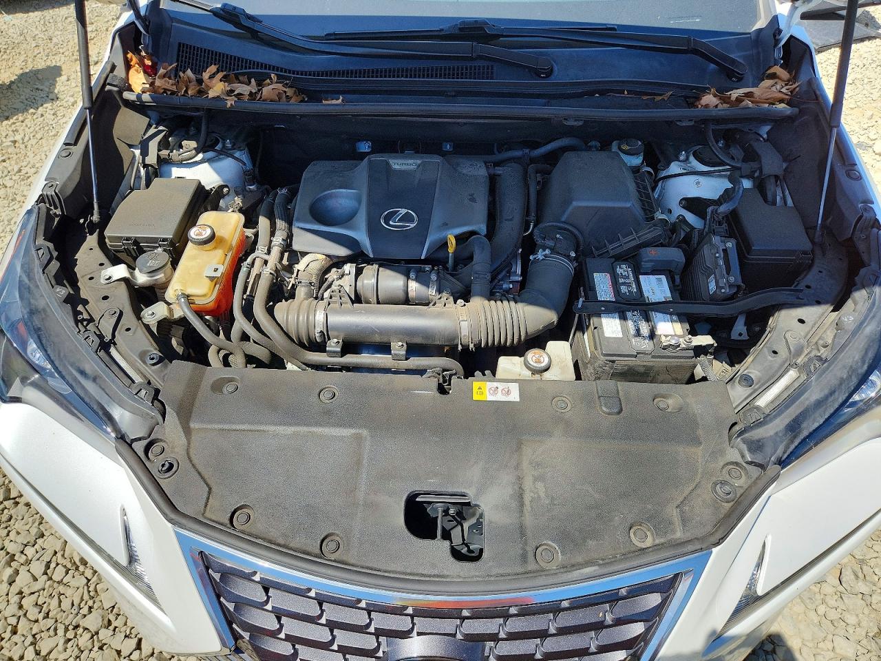 Lexus NX Base