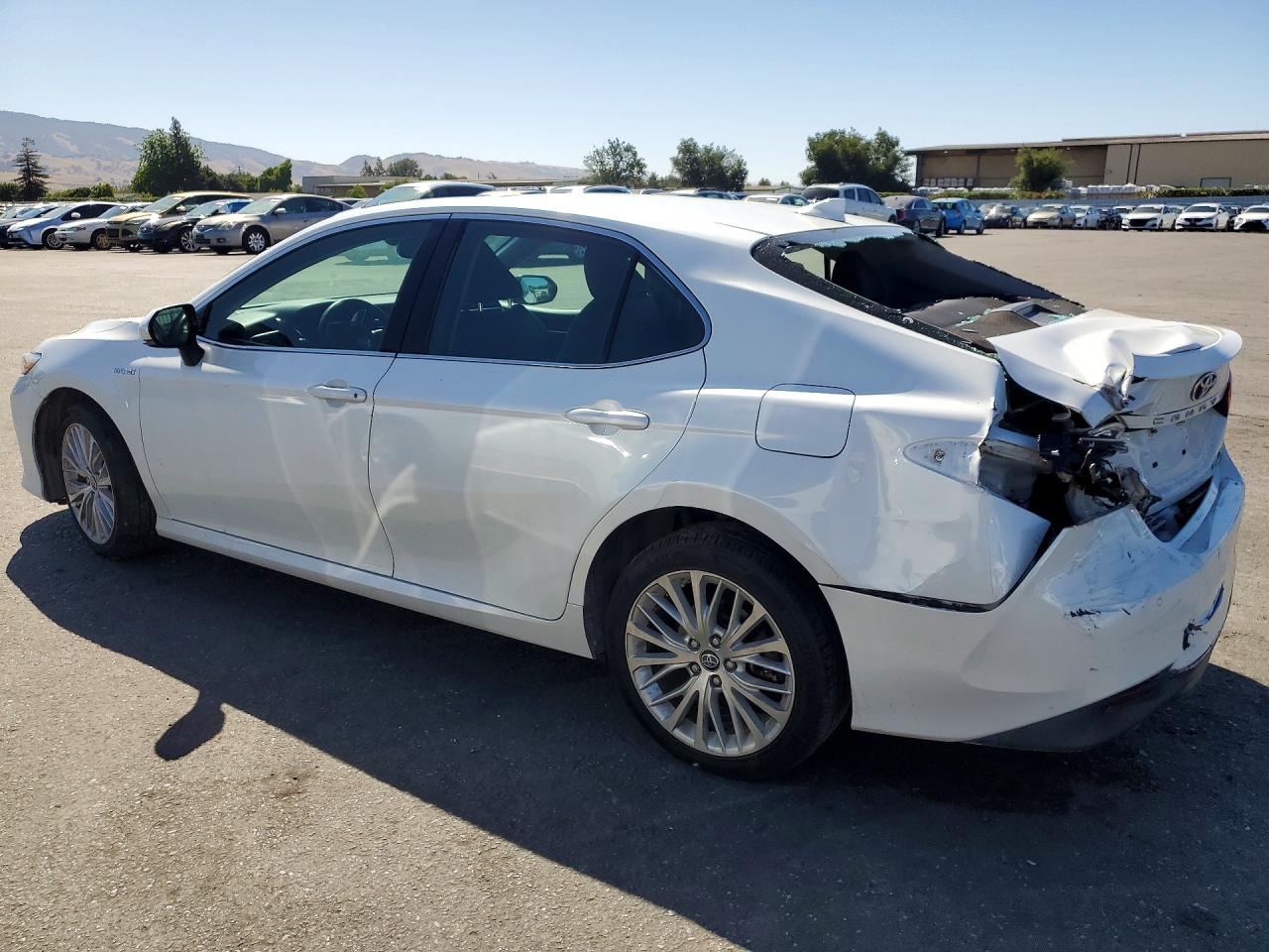 Toyota Camry Xle