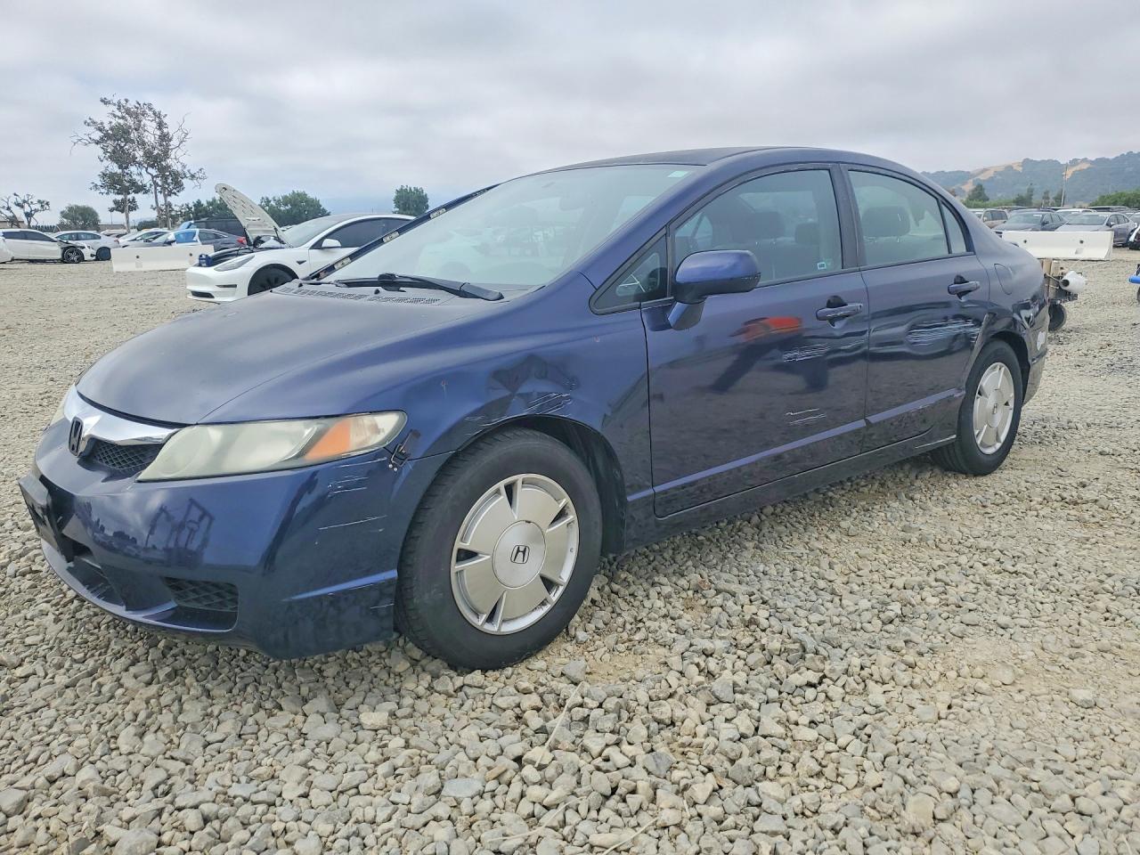 Salvage Honda Civic Image