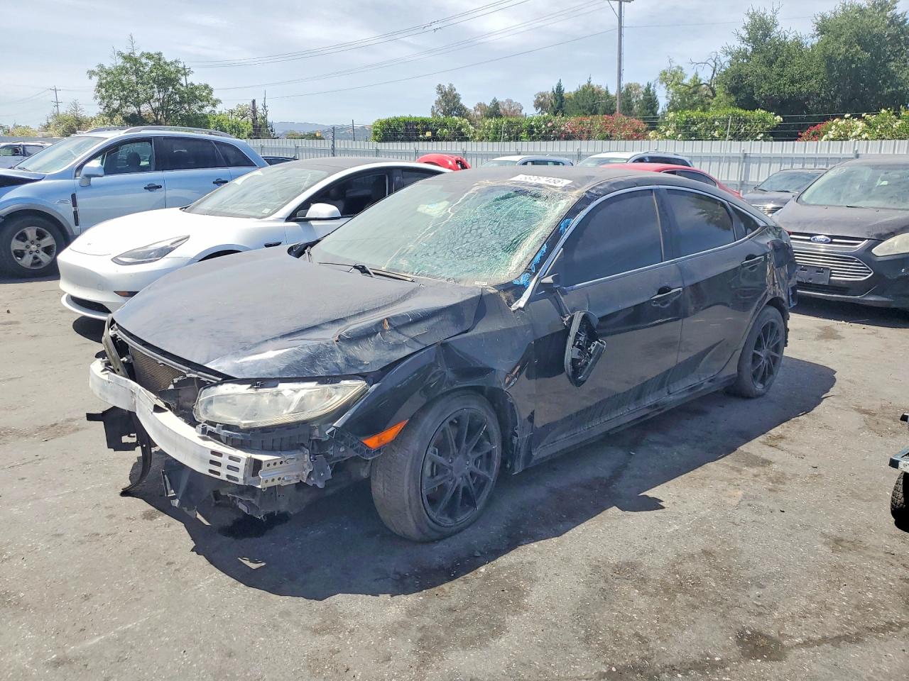 Salvage Honda Civic Image