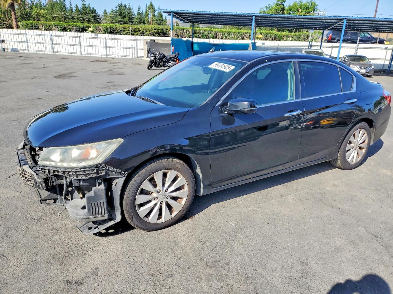 Salvage Honda Accord Image
