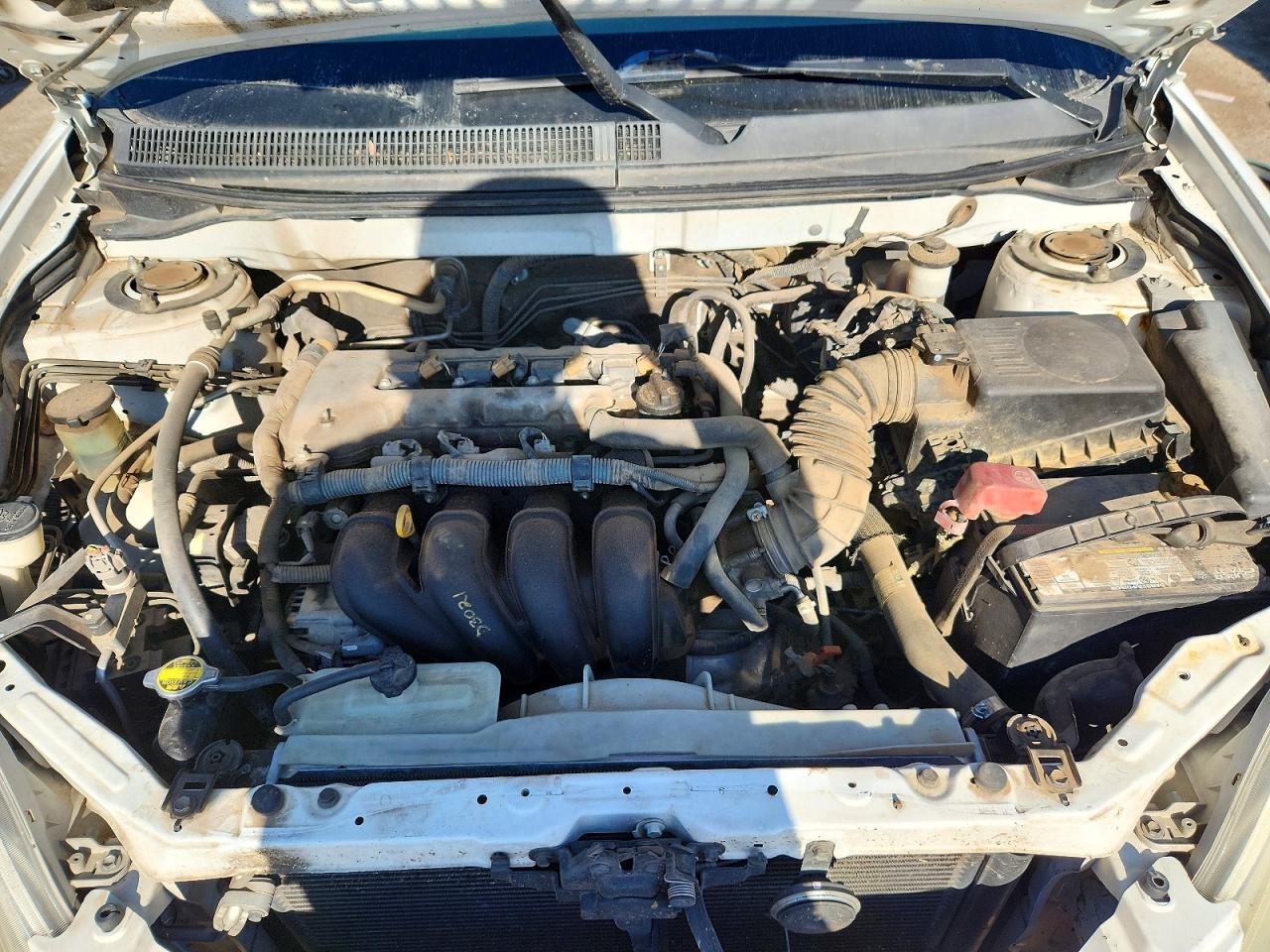 Toyota Corolla Xr