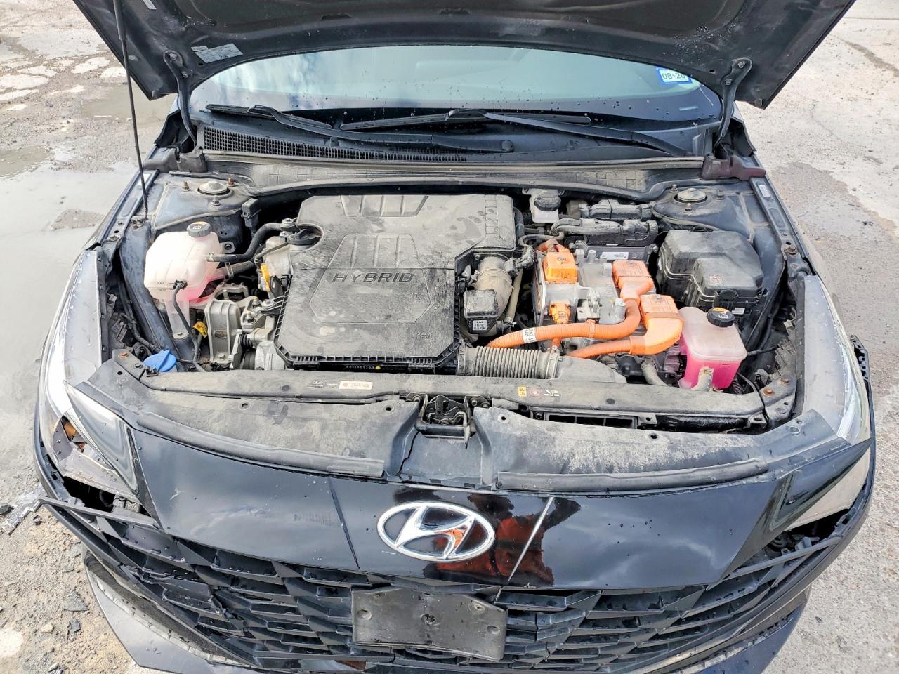 Hyundai ELANTRA Blue