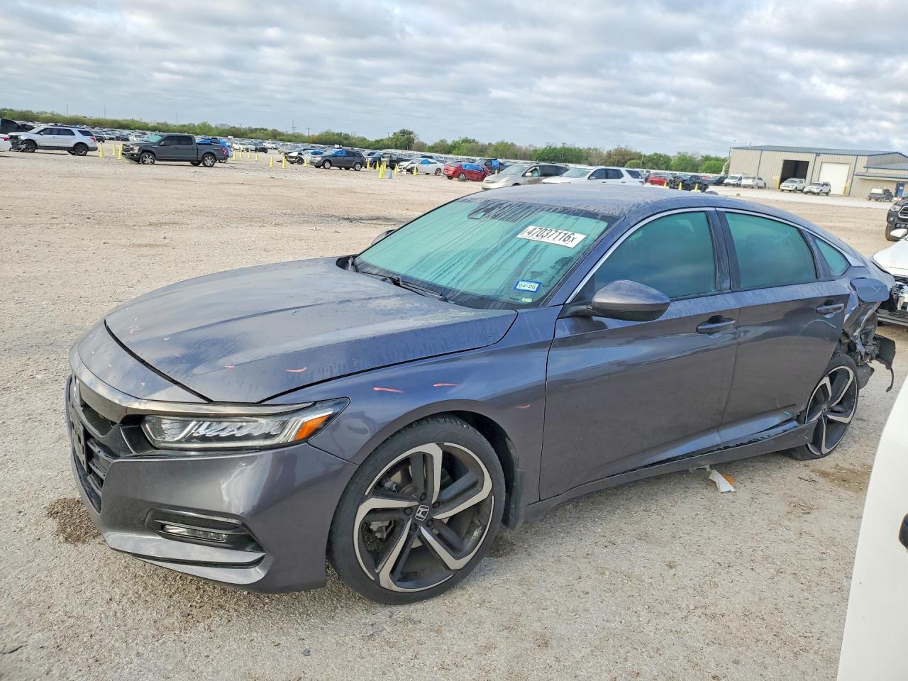 Salvage Honda Accord Image