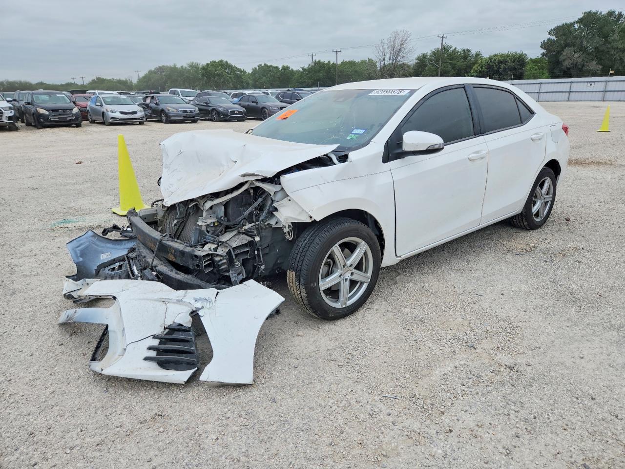 Salvage Toyota Corolla Image