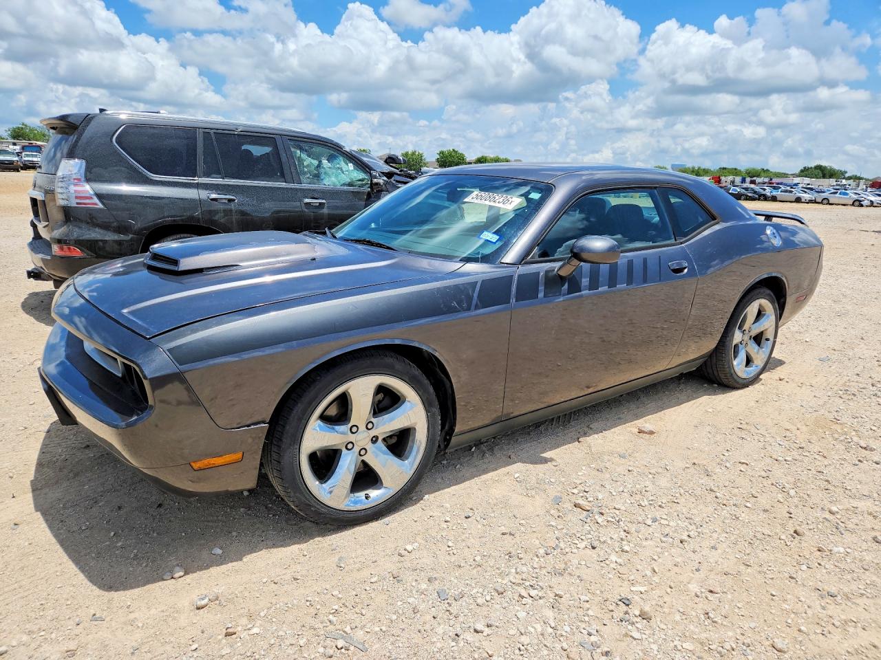 Salvage Dodge Challenger Image