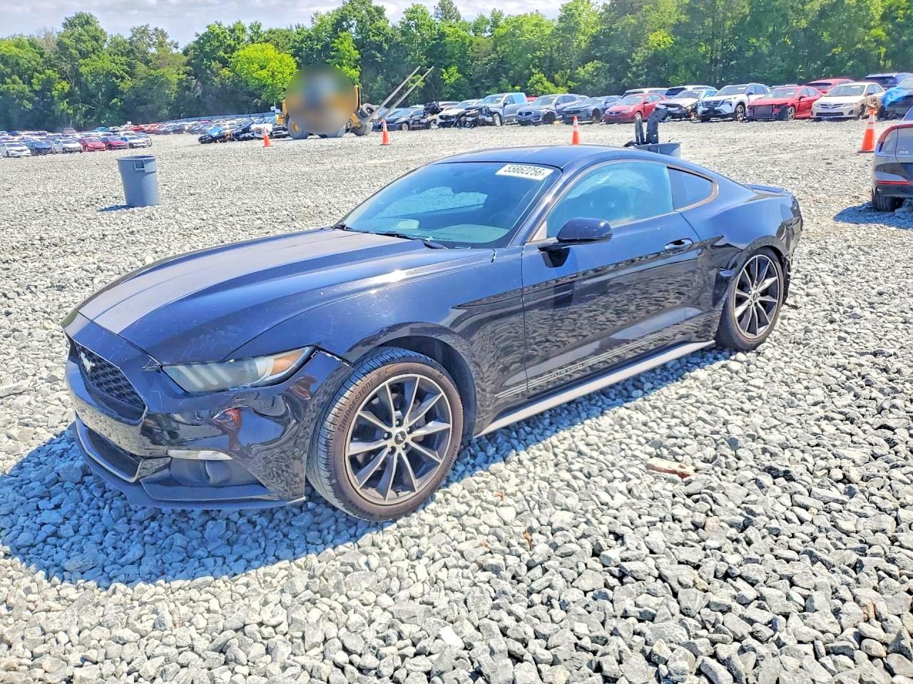 Salvage Ford Mustang Image
