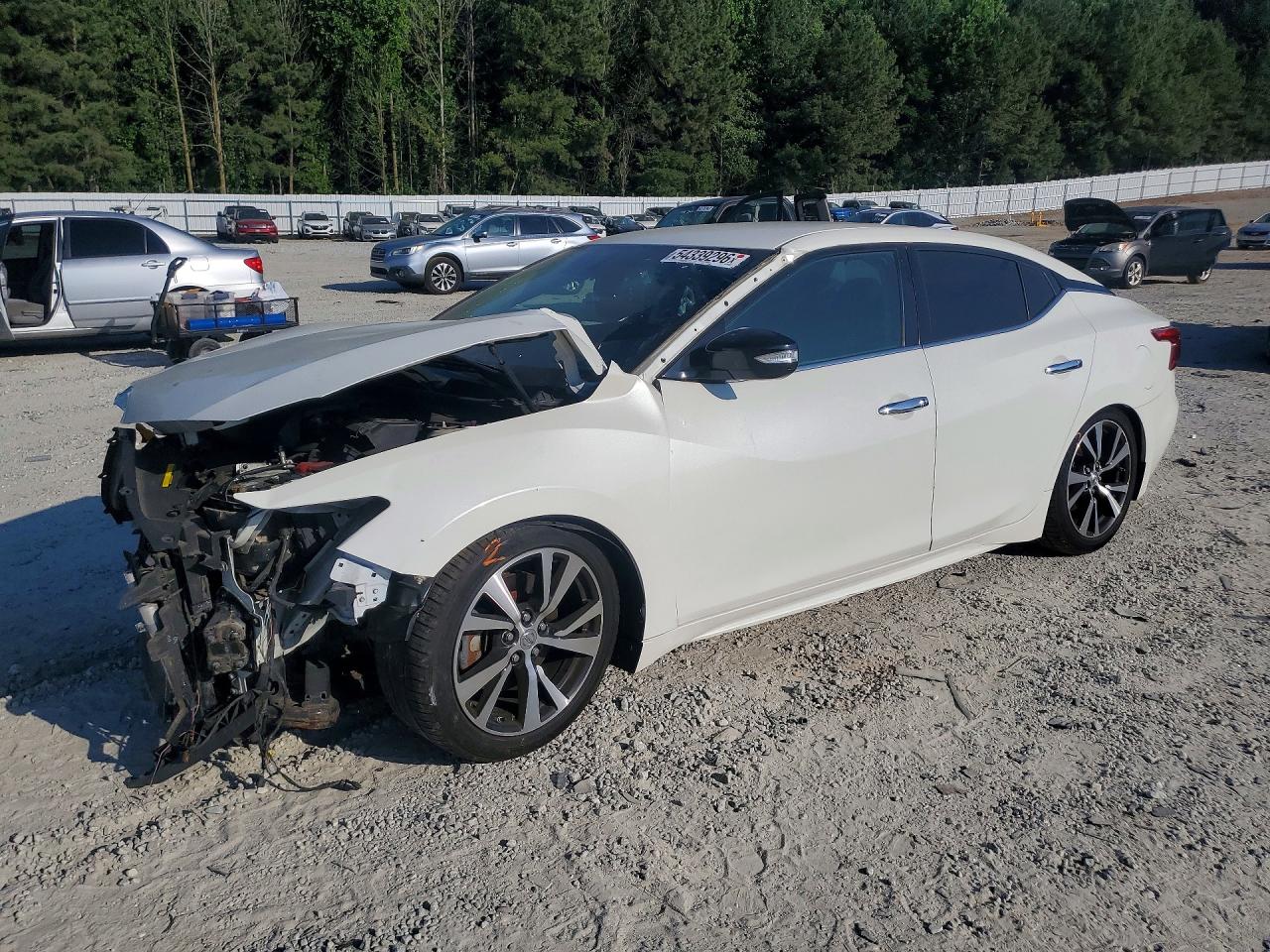 Salvage Nissan Maxima Image