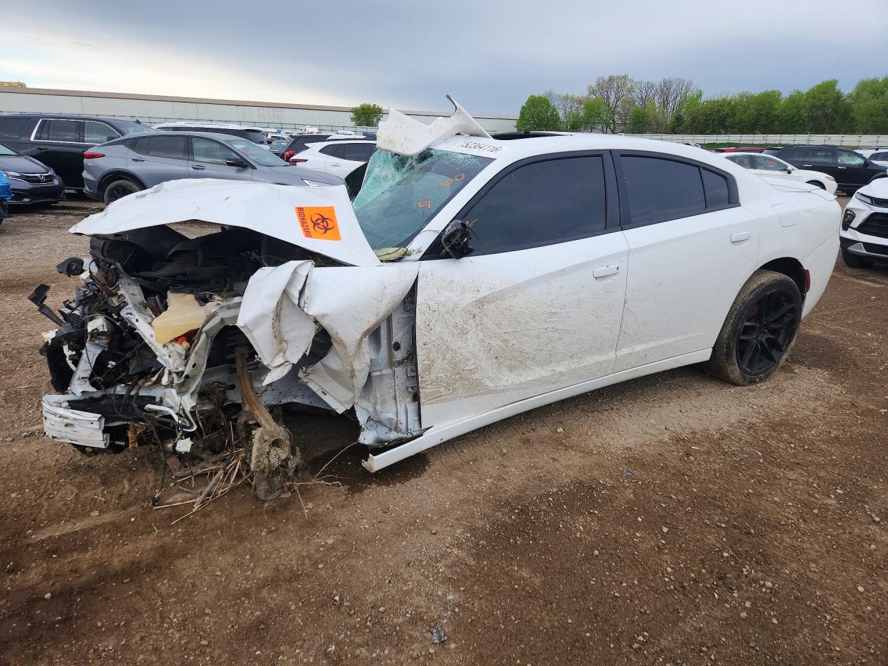 Salvage Dodge Charger Image