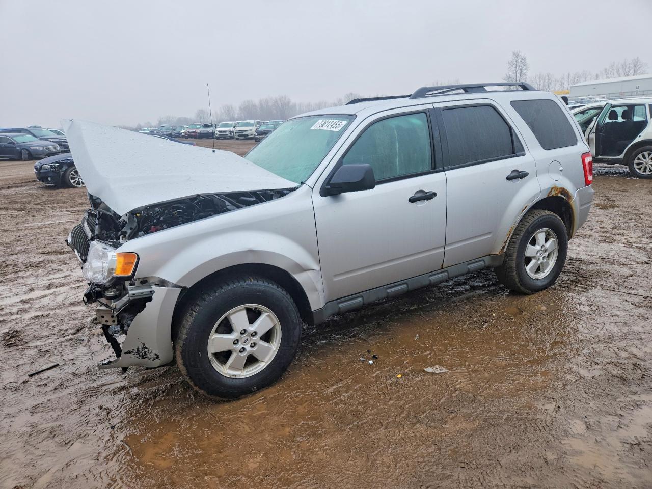 Salvage Ford Escape Image