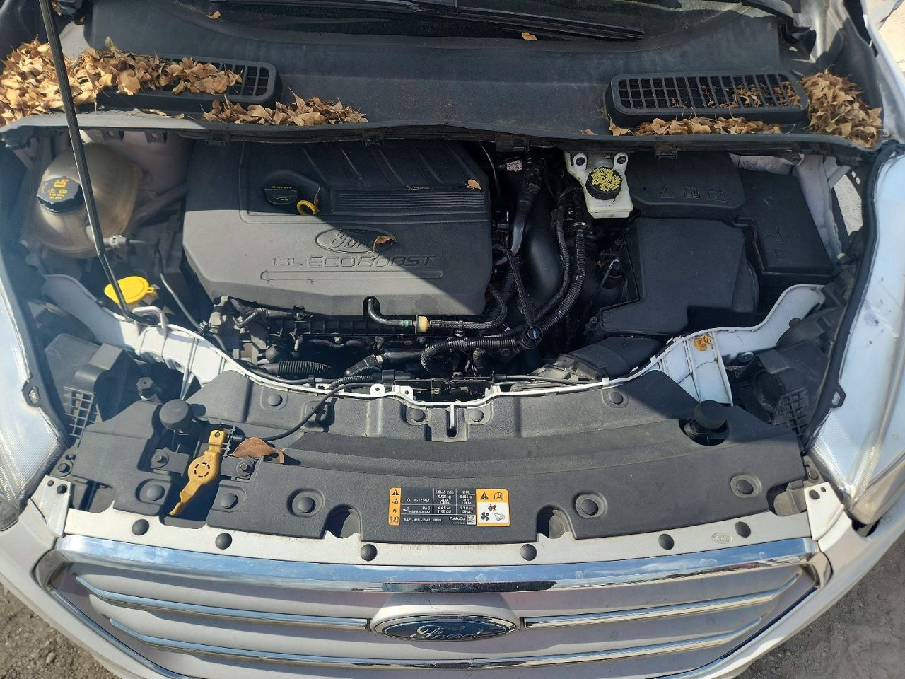 Ford Escape Se