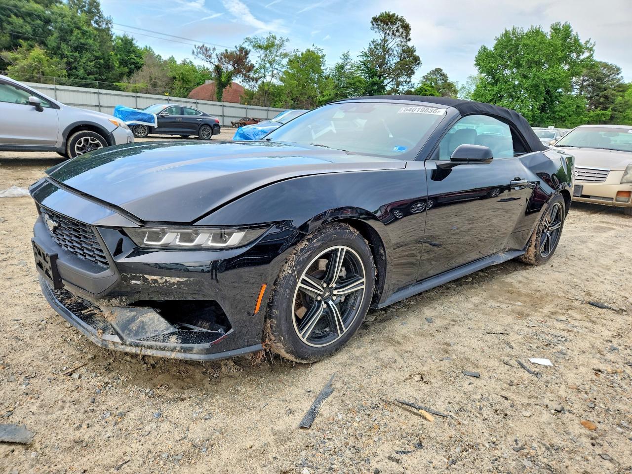 Salvage Ford Mustang Image