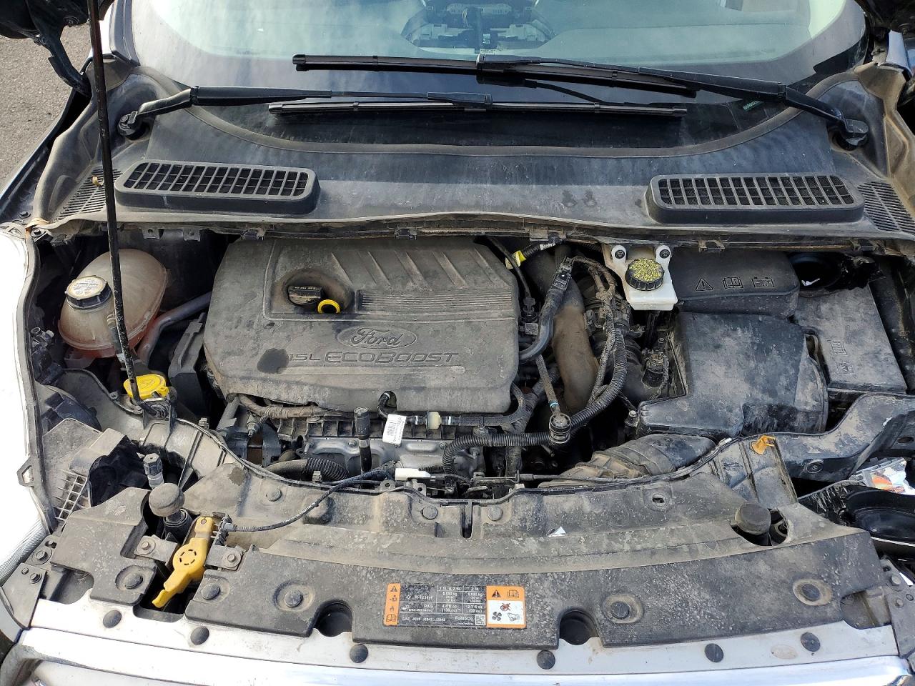 Ford Escape Se