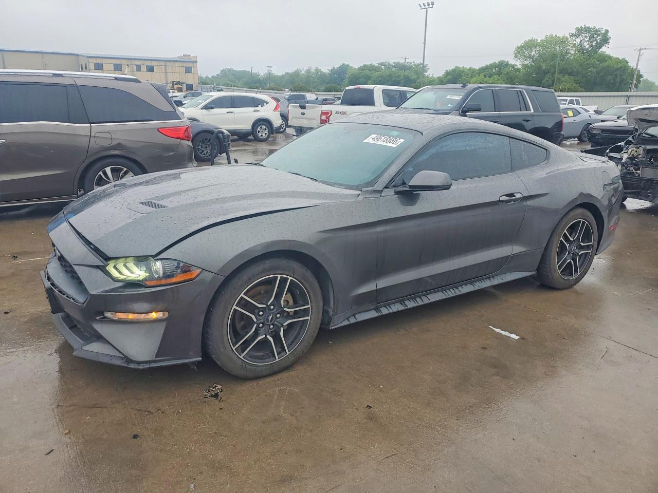 Salvage Ford Mustang Image