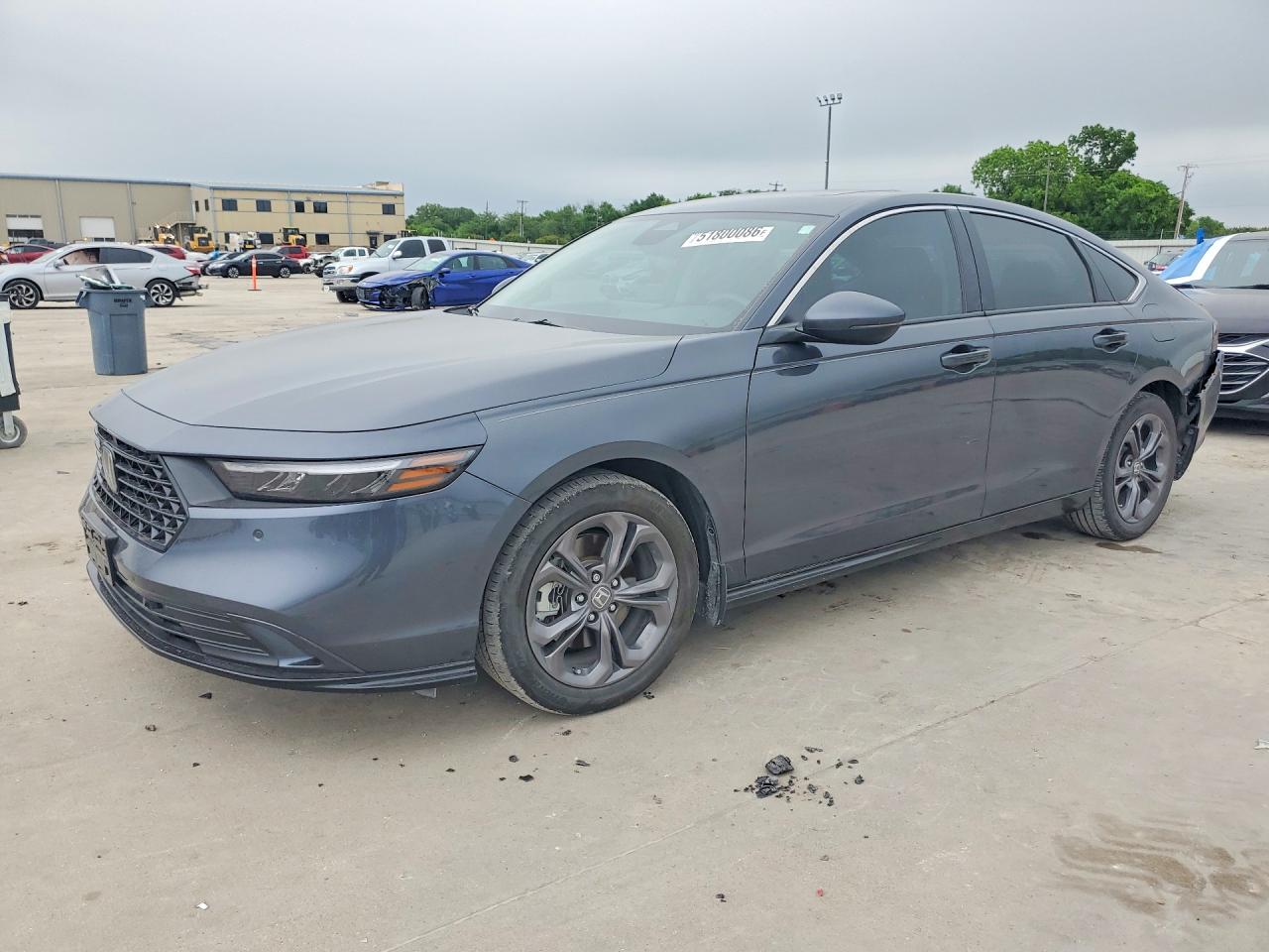 Salvage Honda Accord Image
