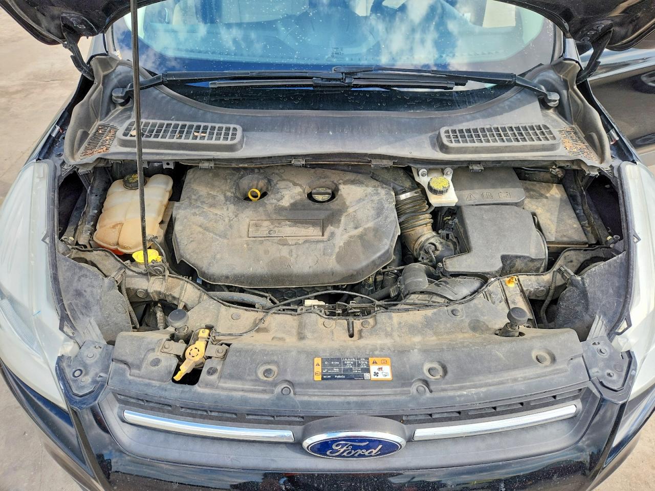 Ford Escape Se