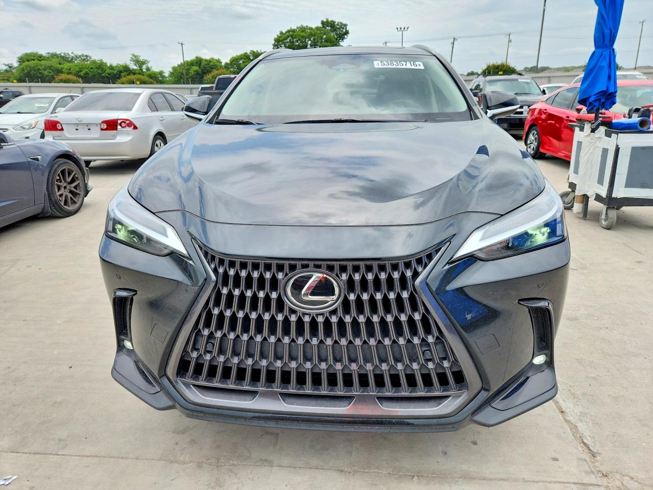 Lexus NX Premium