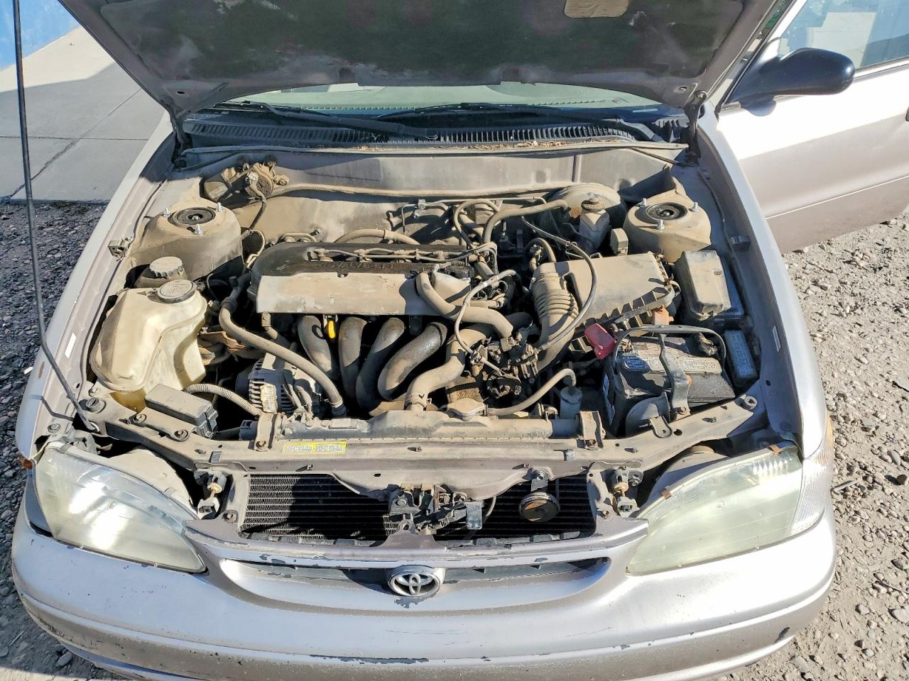 Toyota Corolla Ve