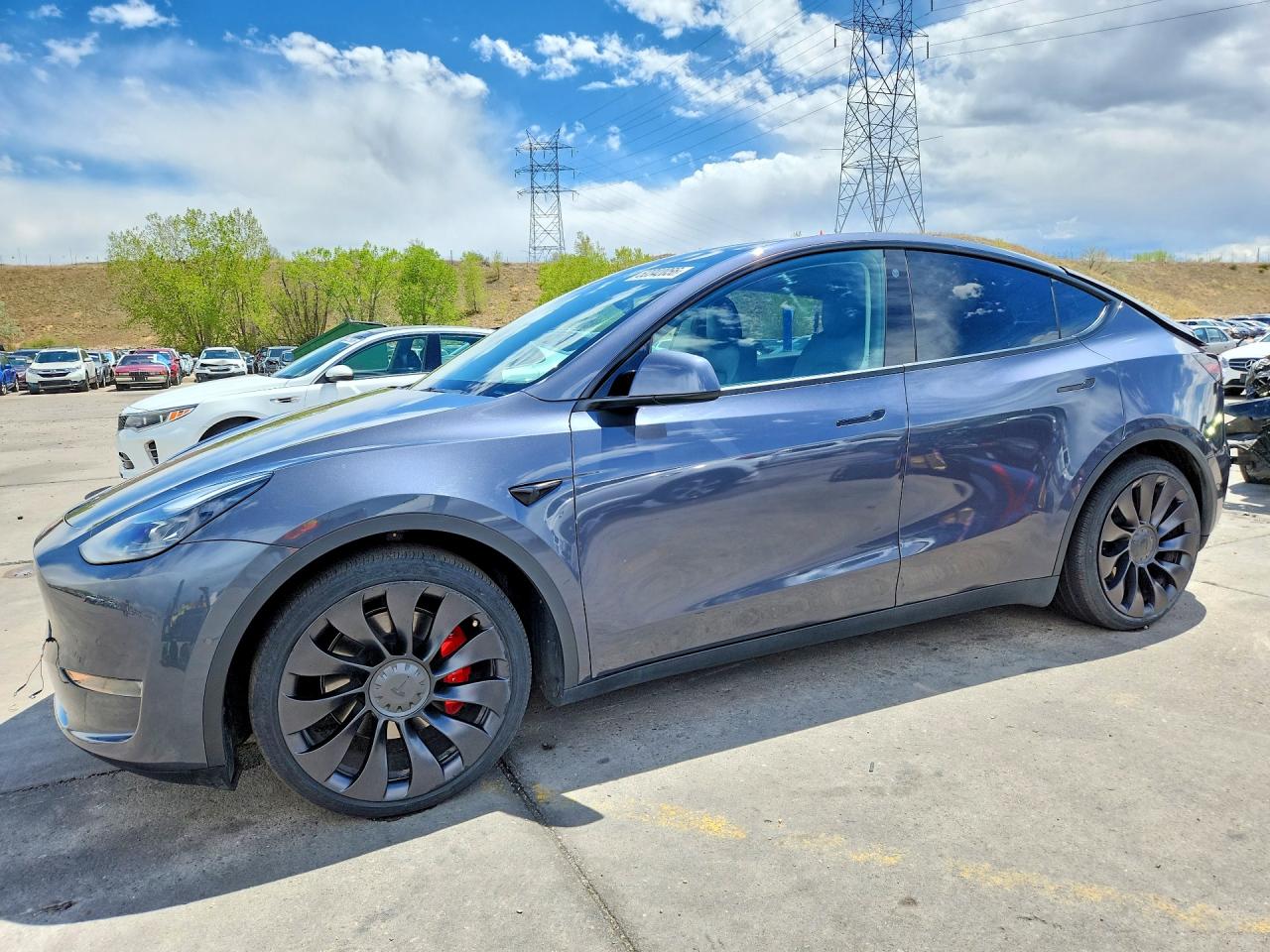 Salvage Tesla Model Y Image