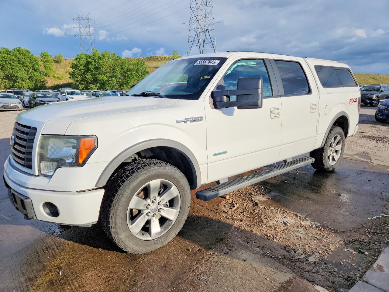 Salvage Ford F-150 Image