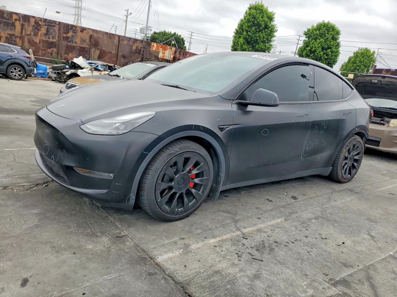 Salvage Tesla Model Y Image
