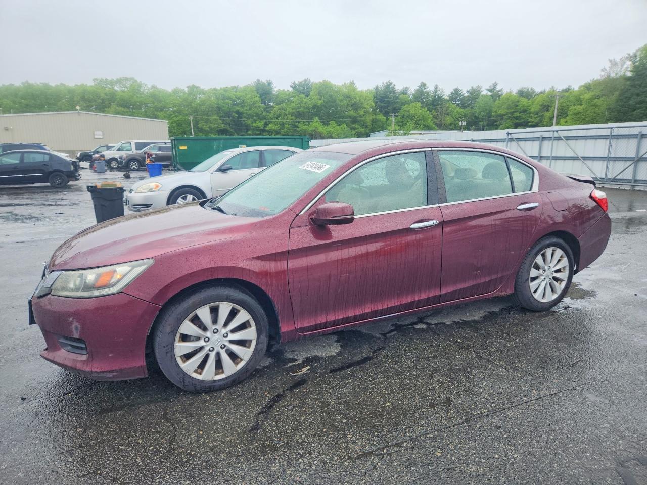 Salvage Honda Accord Image