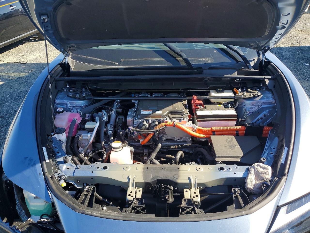 Lexus Other Premium