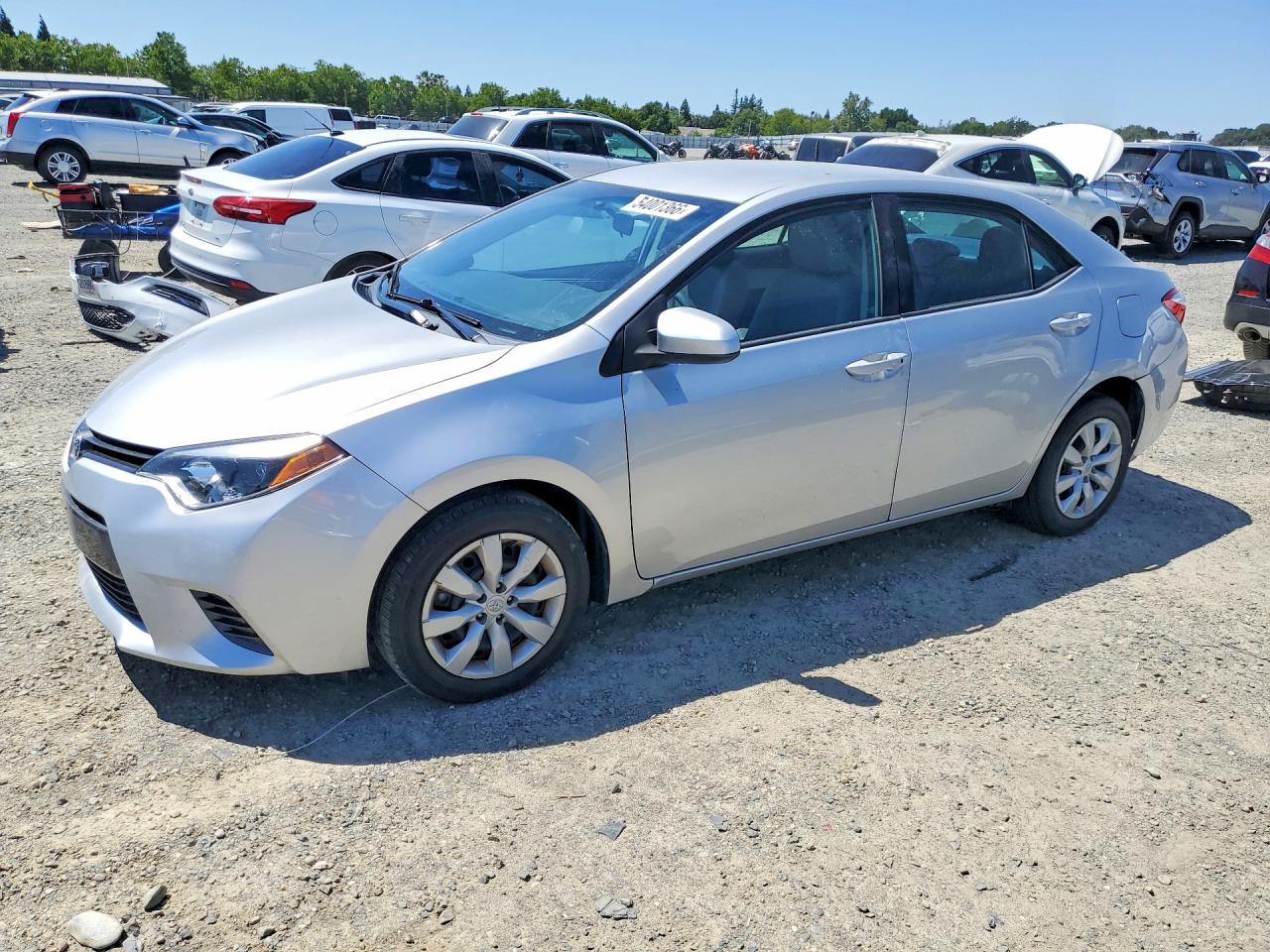 Salvage Toyota Corolla Image
